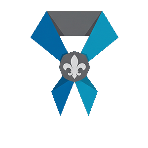scouting